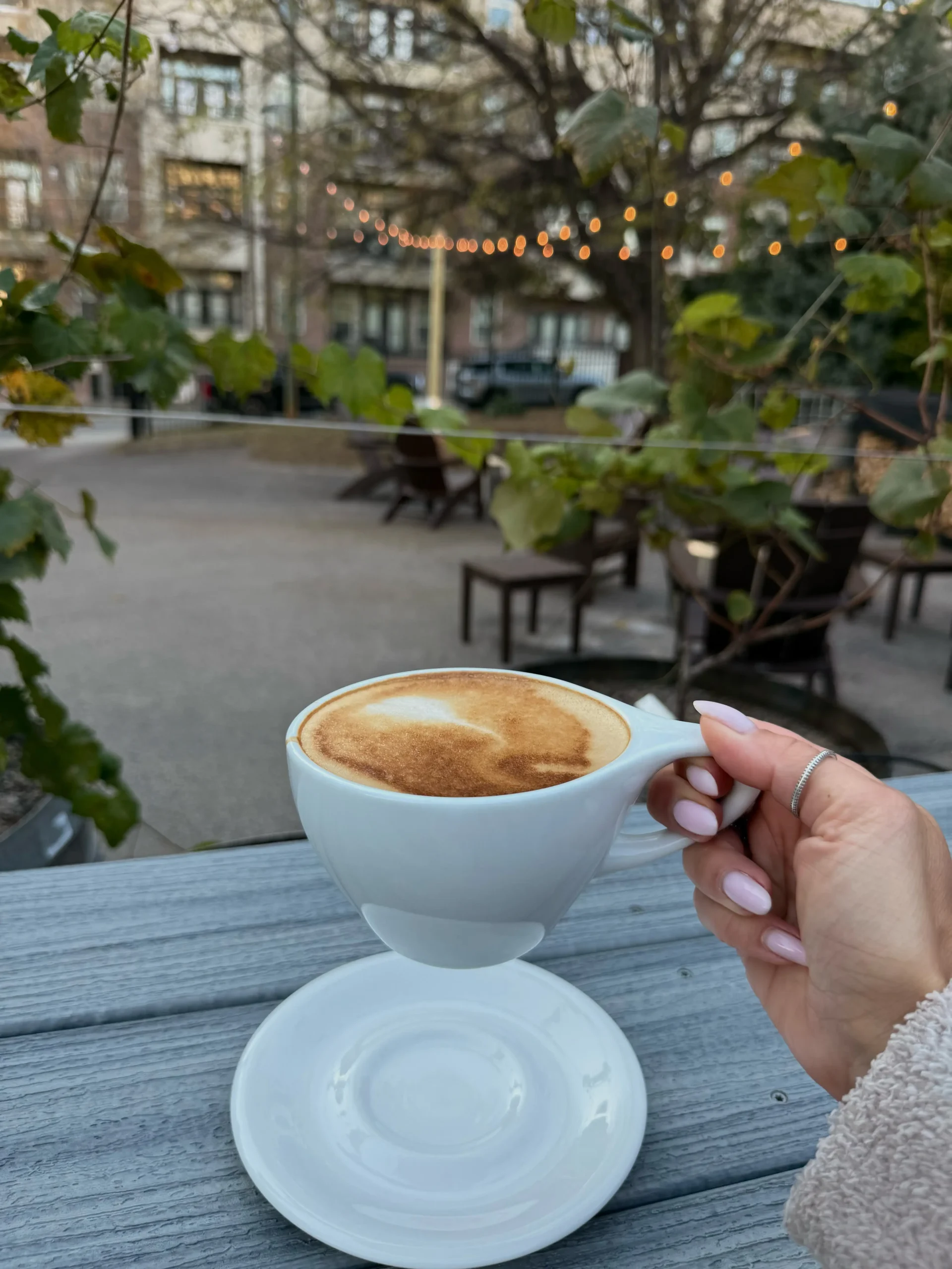 The Top 10 Coffee Shops in Raleigh, NC